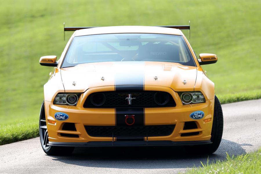  Ford Mustang Boss 302S Race Car 2013 года  (фото 3 из 3)